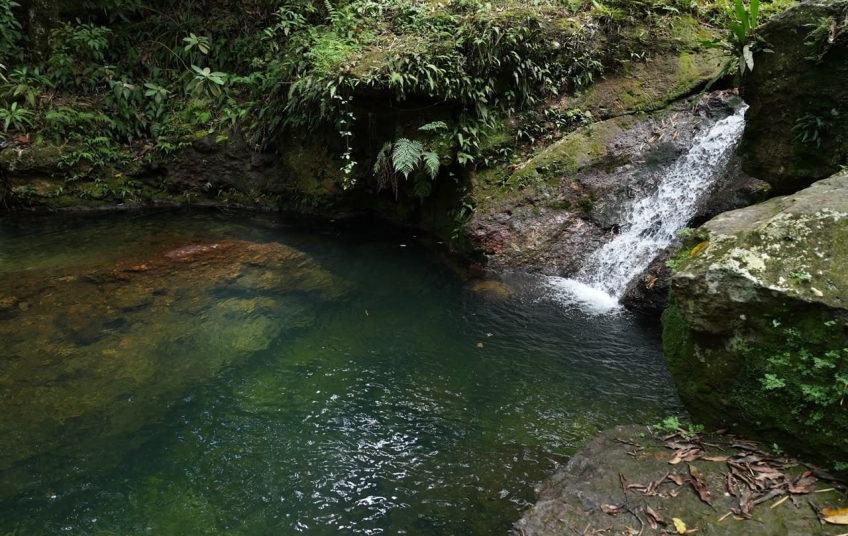 Ministerio de Energía y Minas realiza jornada de reforestación y limpieza en cuencas de ríos de Cotuí